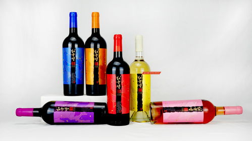 寧夏紅寺堡全新紅酒品牌全案設計產(chǎn)品開發(fā)案例
